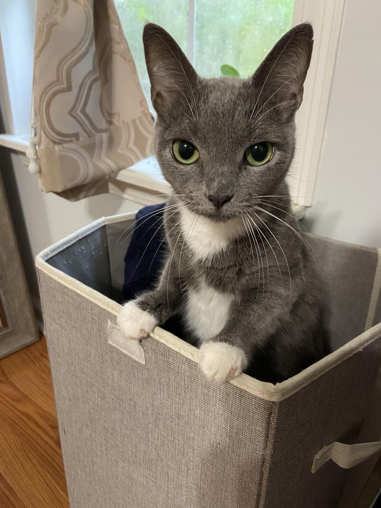 image-20221109133500-12