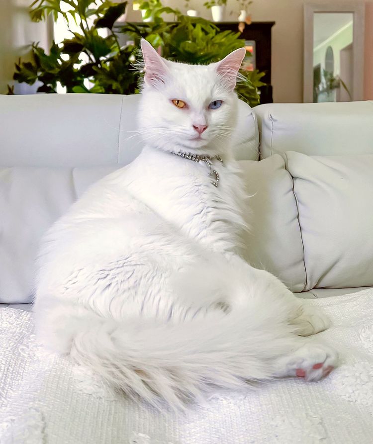 image-20221109133505-14