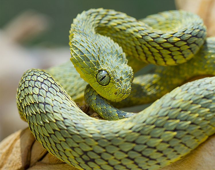 image-20221109162313-1