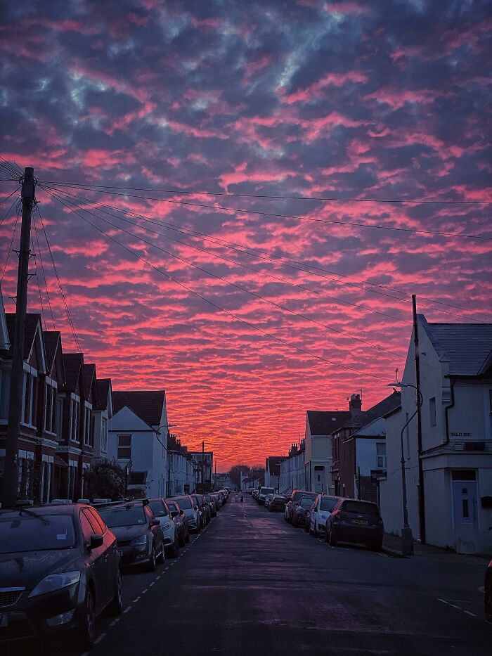 image-20221110113233-1