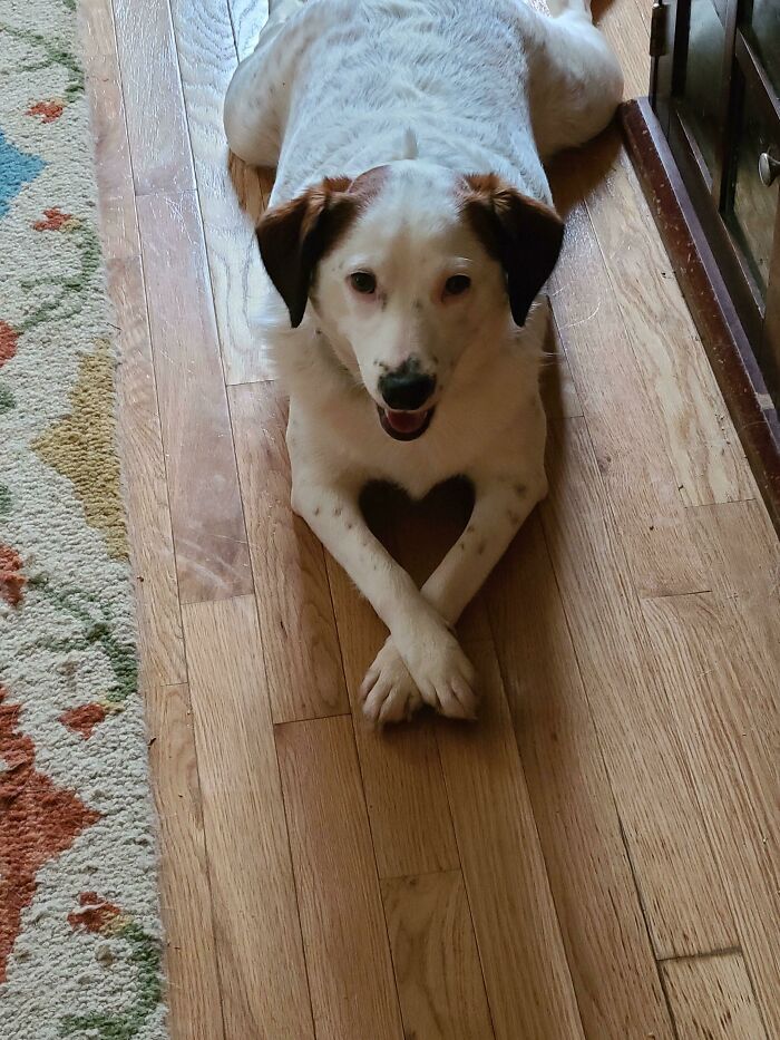 image-20221110113239-3