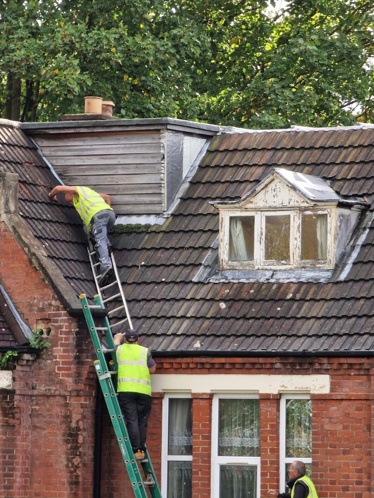 image-20221111131731-14