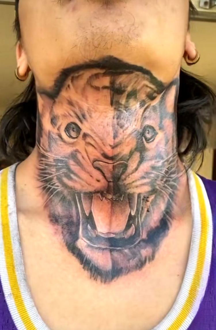 image-20221114125040-14