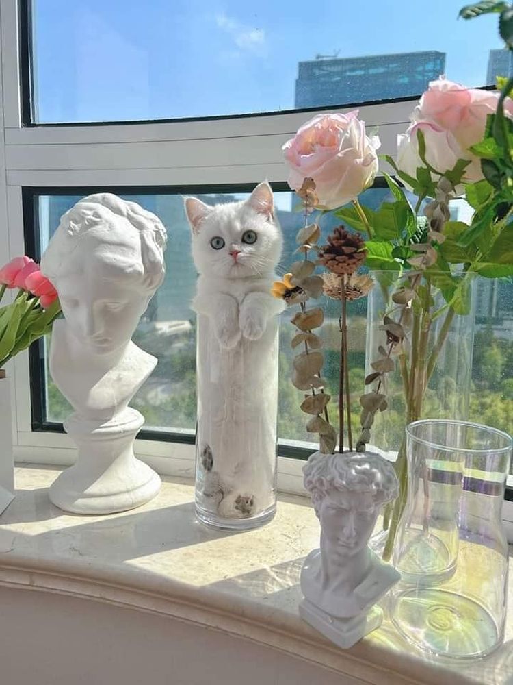 image-20221114155550-2