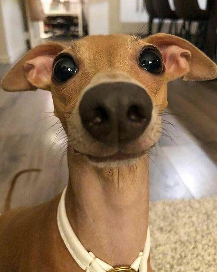 image-20221114155553-3