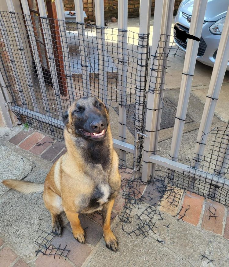 image-20221114155556-4