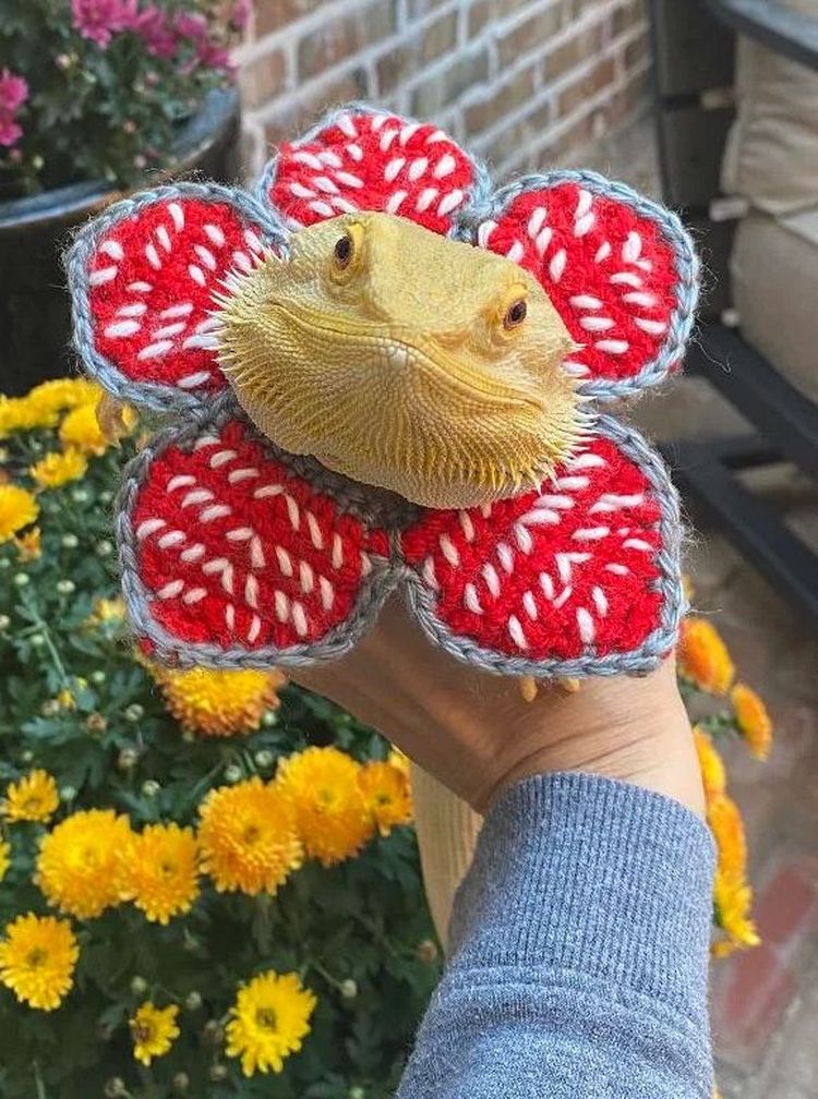 image-20221114155611-7