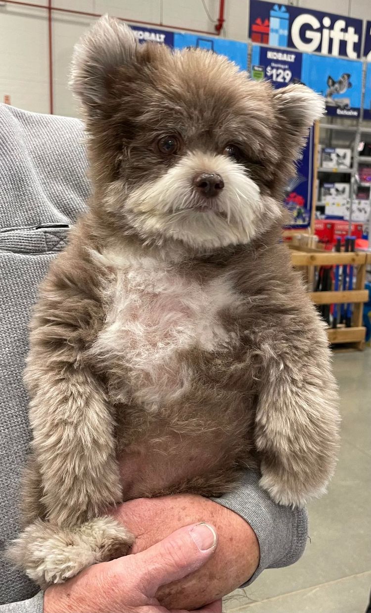 image-20221114155649-12