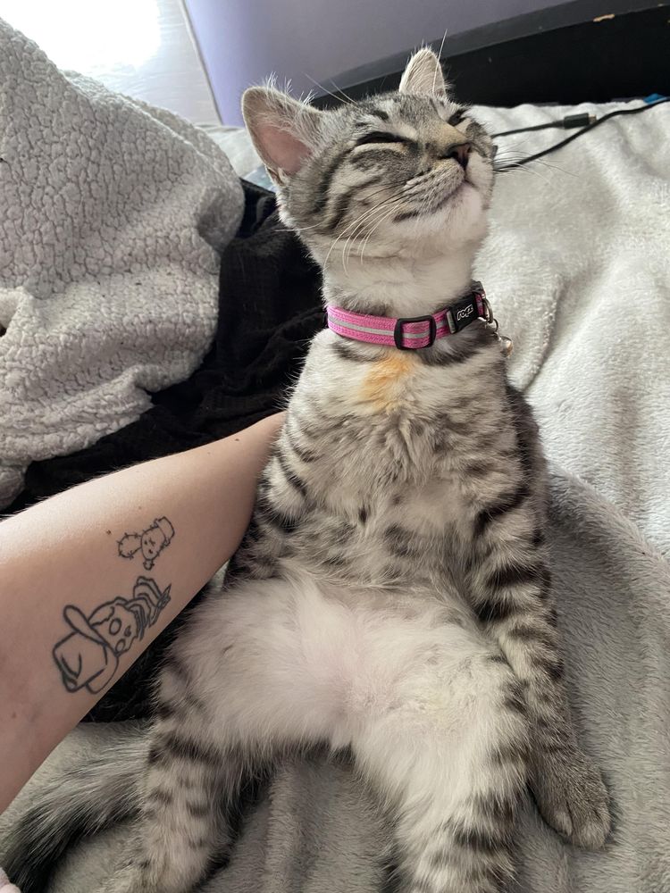 image-20221114155657-14