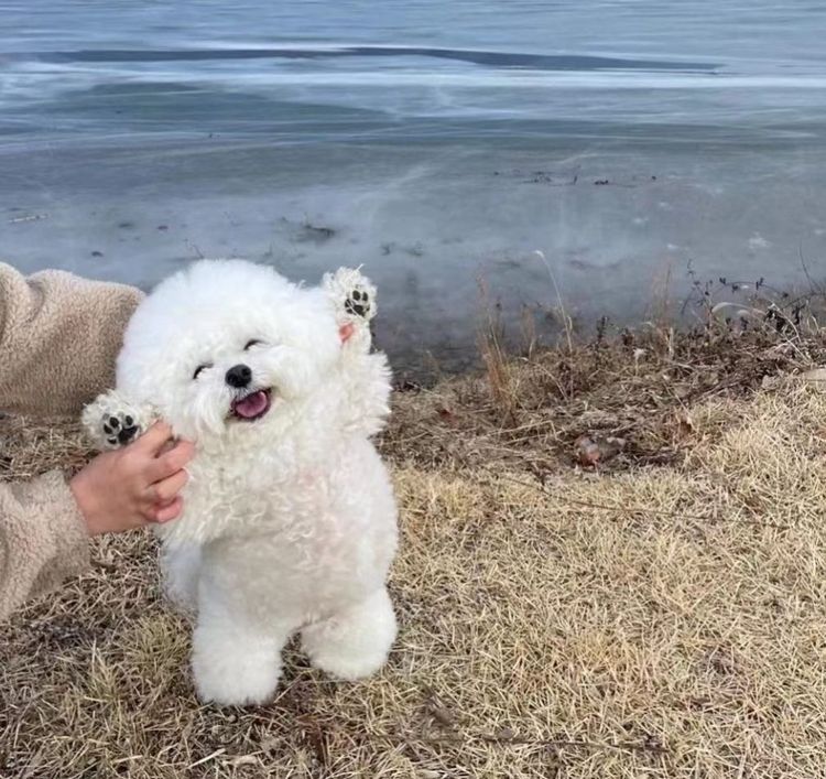 image-20221114155700-15