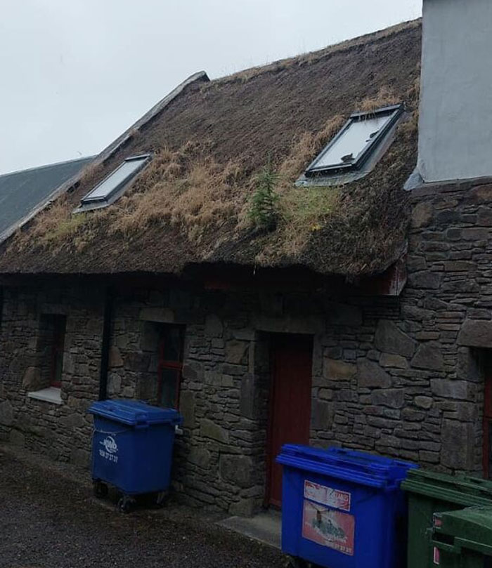 image-20221114172634-9