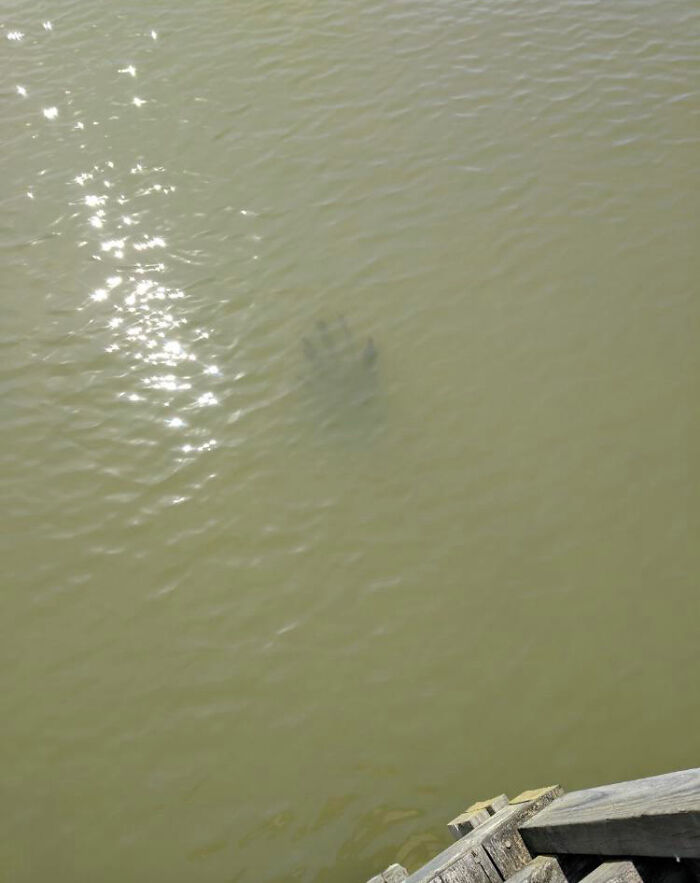 image-20221115124202-3