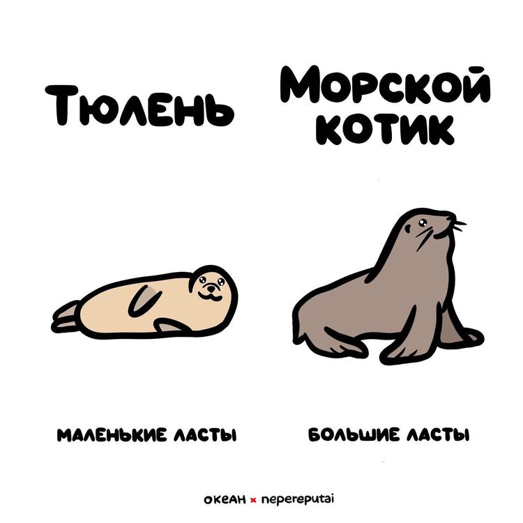 image-20221116122611-1