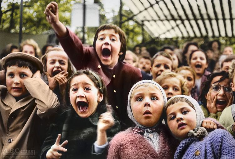 image-20221116131811-5