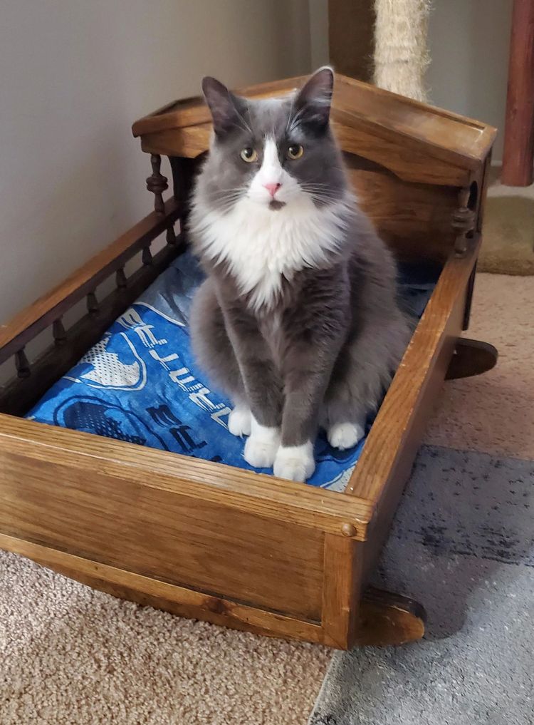 image-20221116163051-6