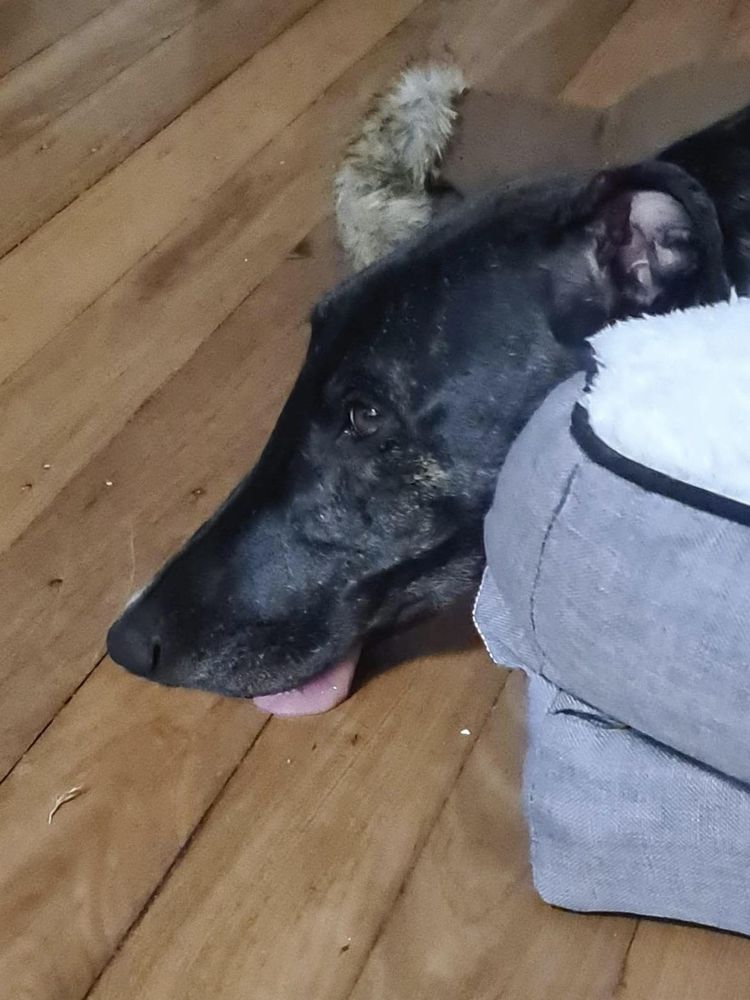 image-20221116172637-10