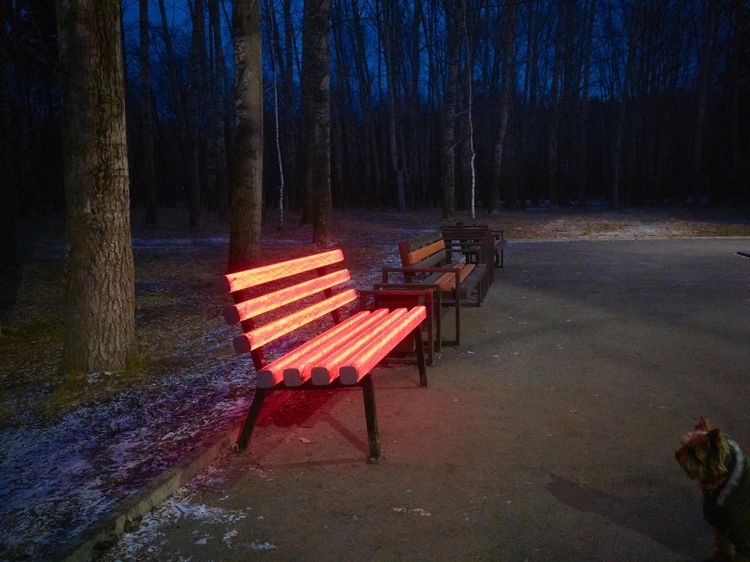 image-20221116172642-12