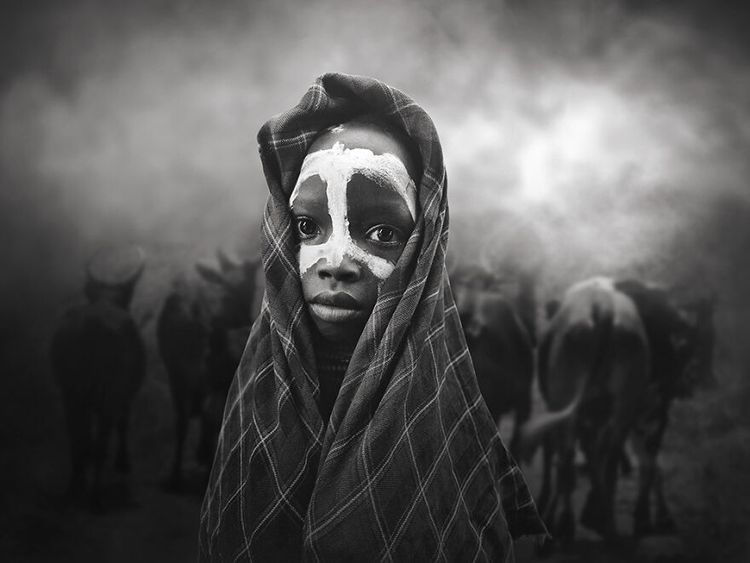 image-20221117144429-6