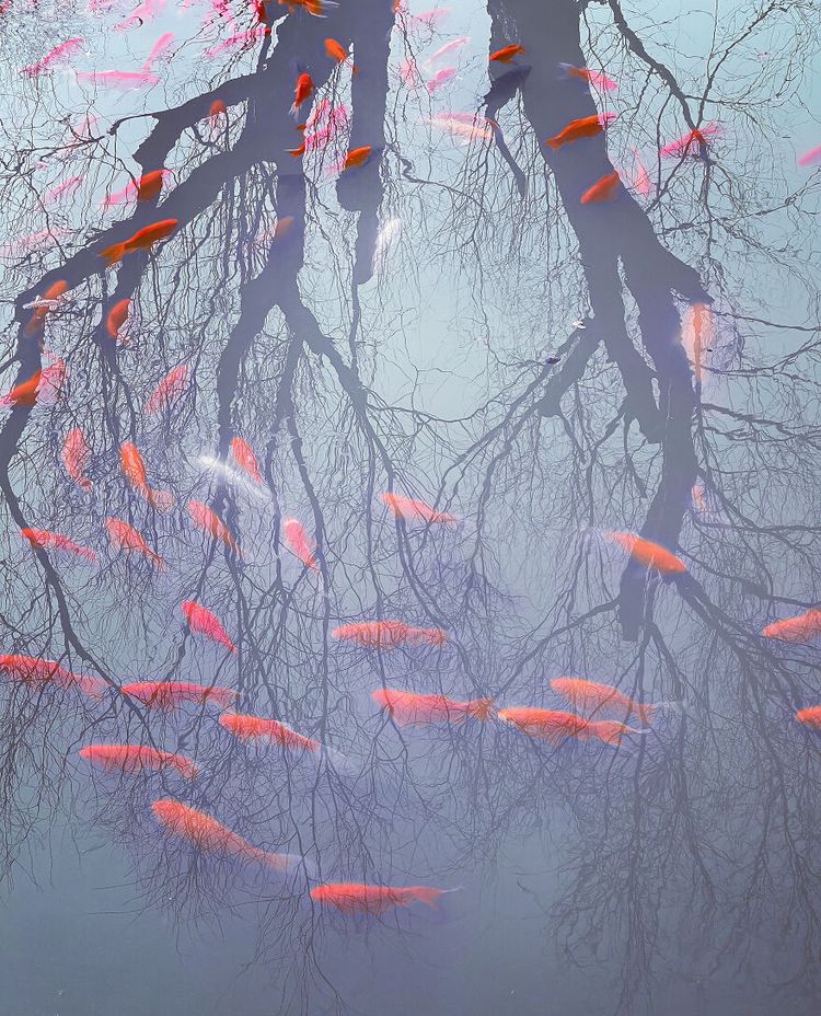 image-20221117144452-13