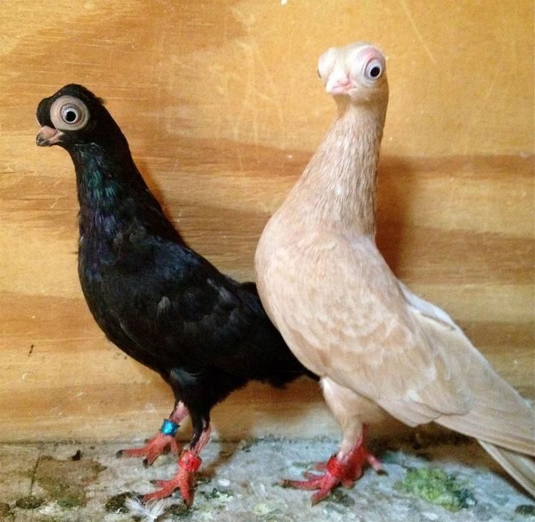 image-20221118140613-1