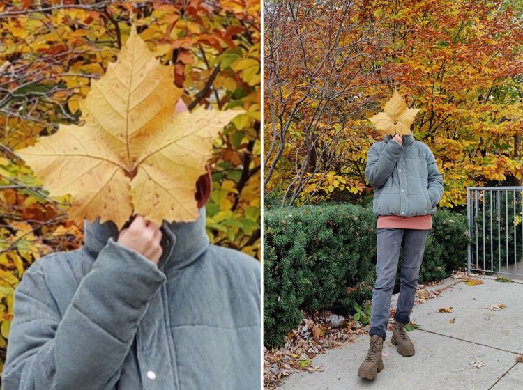 image-20221121142015-2