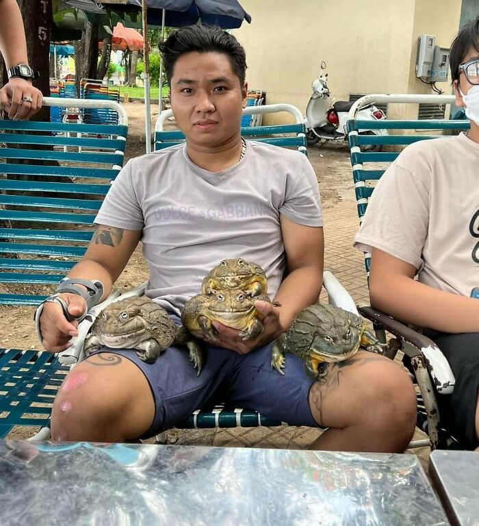 image-20221121142024-5