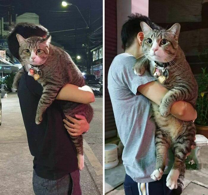 image-20221121142043-10