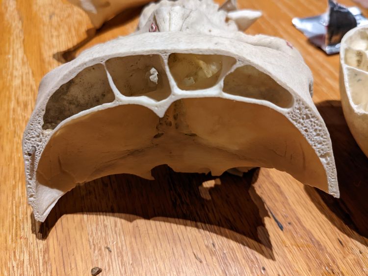 image-20221121211701-9