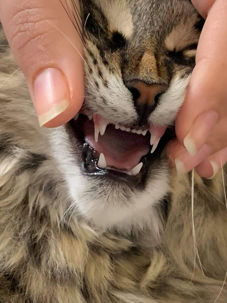 image-20221121211709-11