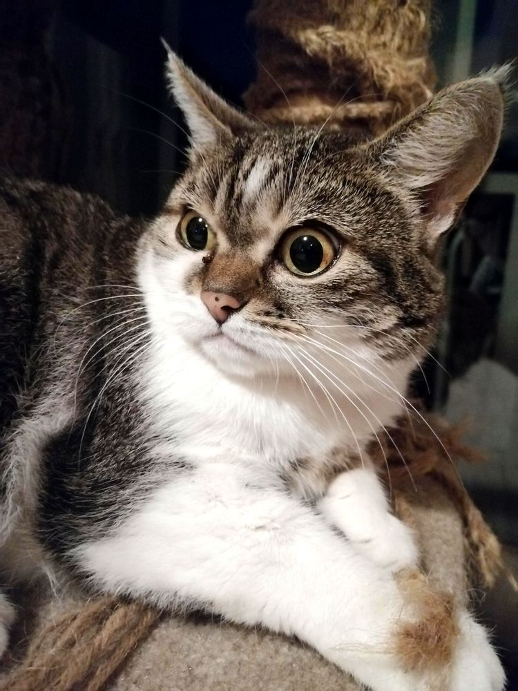 image-20221122161454-1