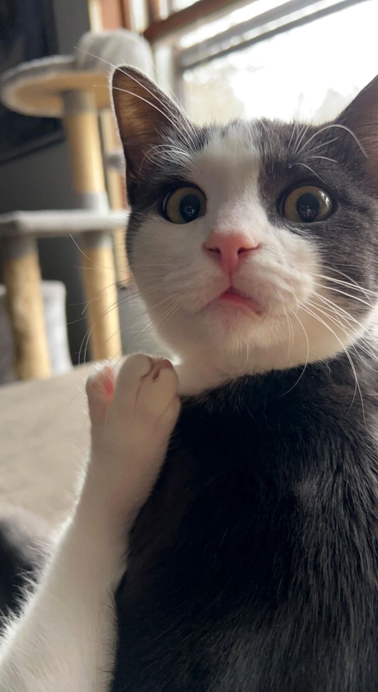 image-20221122161535-5