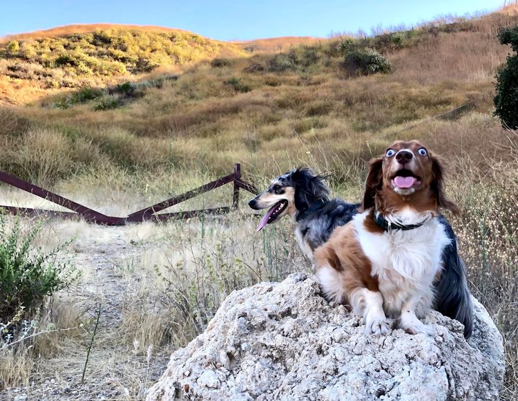 image-20221122161540-6