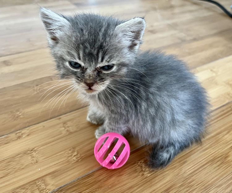 image-20221122161543-7