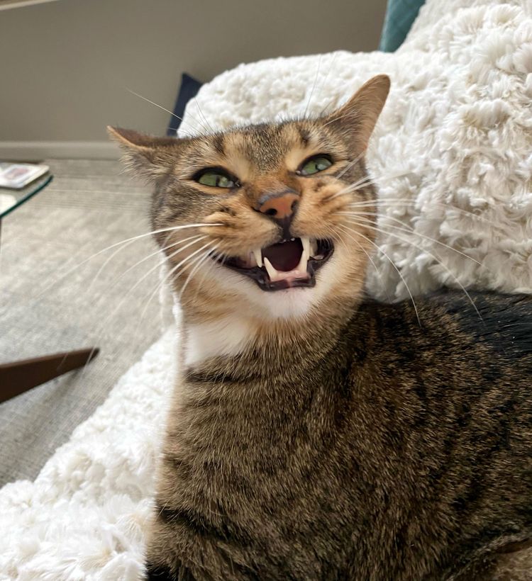 image-20221122161549-9