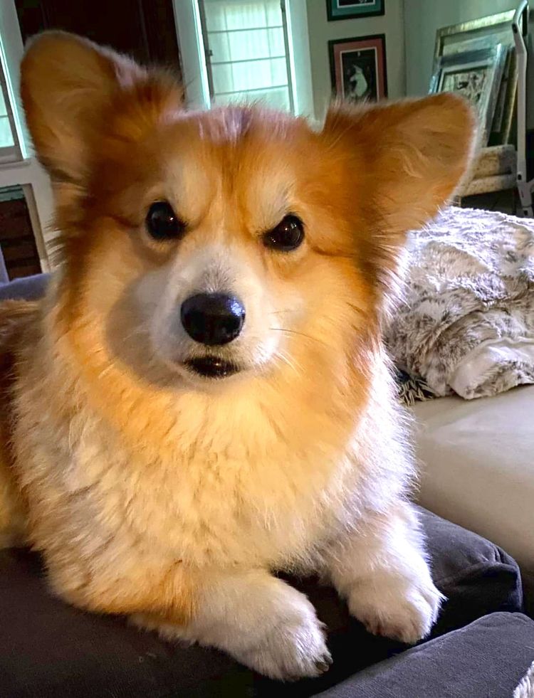 image-20221122161603-12