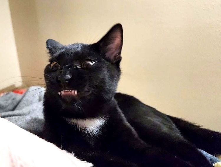 image-20221122161606-13