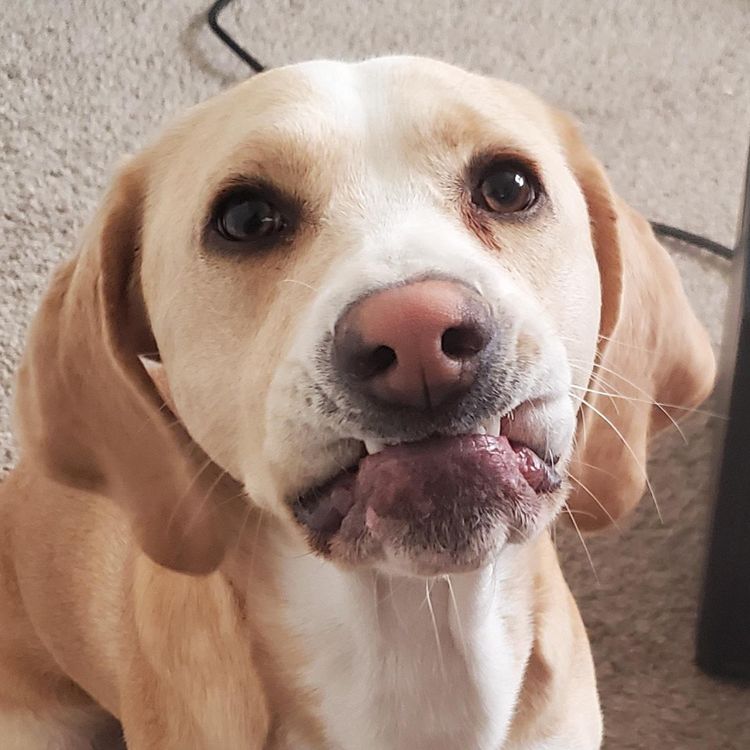 image-20221122161609-14