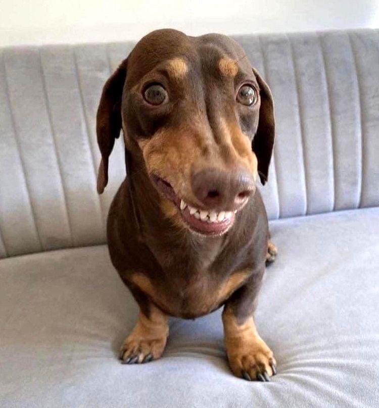 image-20221122161614-16