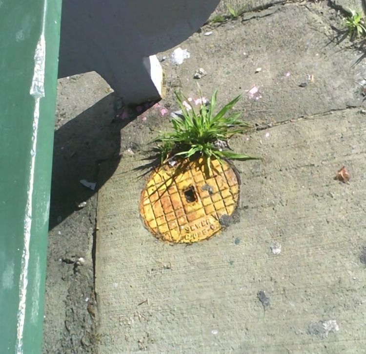 image-20221123125851-6