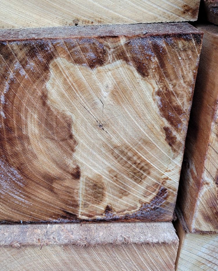 image-20221123170131-2