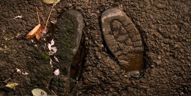 image-20221123170137-4