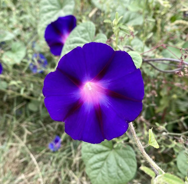 image-20221123170144-6