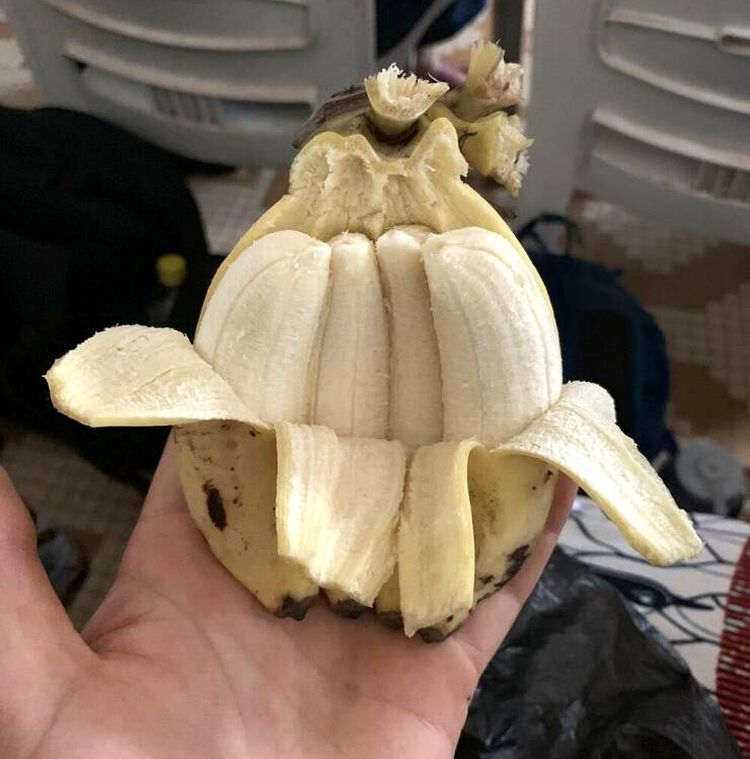 image-20221123170146-7