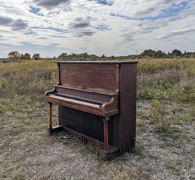 image-20221123170158-9