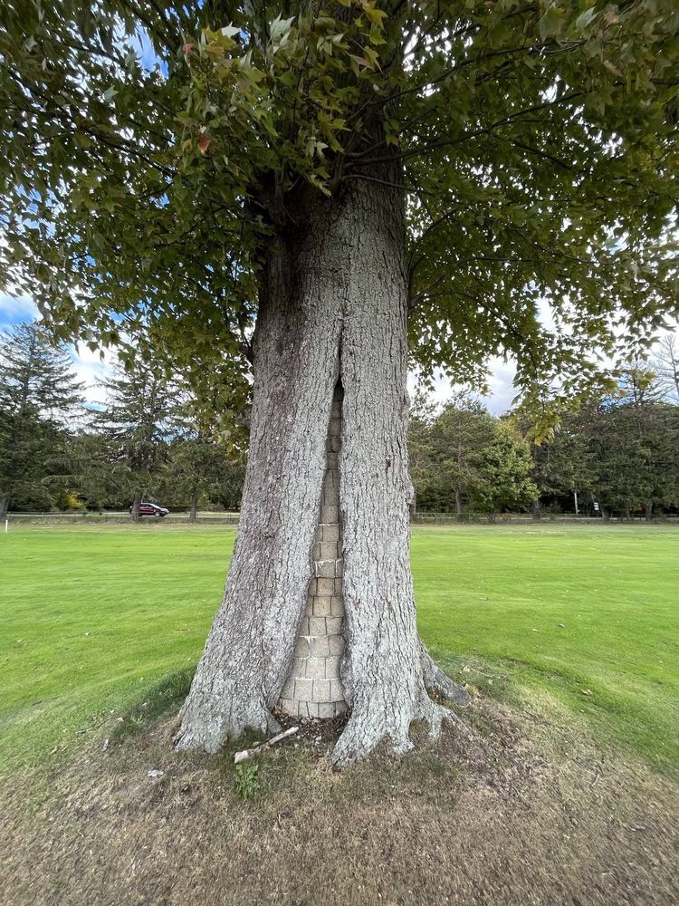 image-20221123170213-14