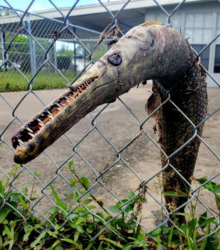 image-20221123170221-17