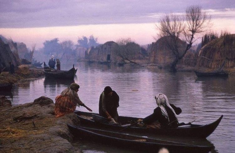 image-20221124162333-3