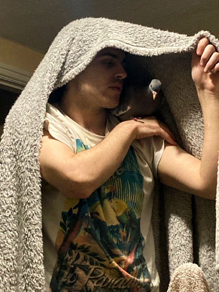 image-20221124162405-13