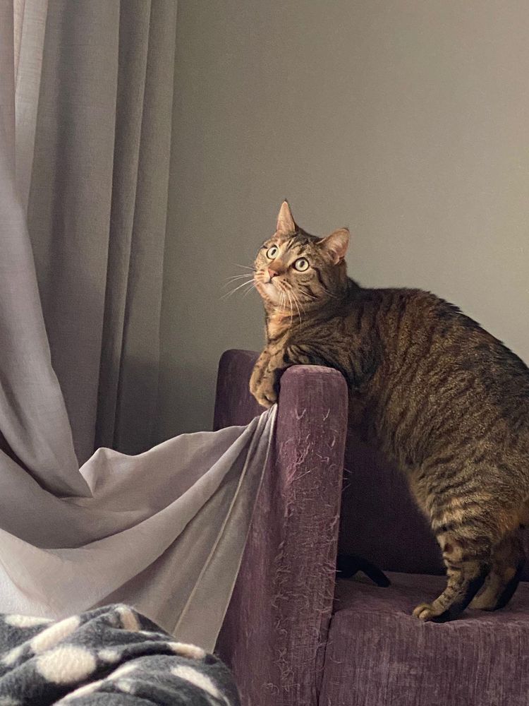 image-20221124162408-14