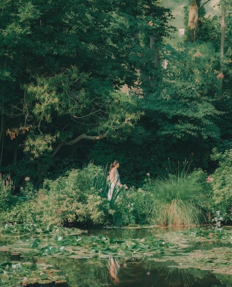 image-20221124162411-15